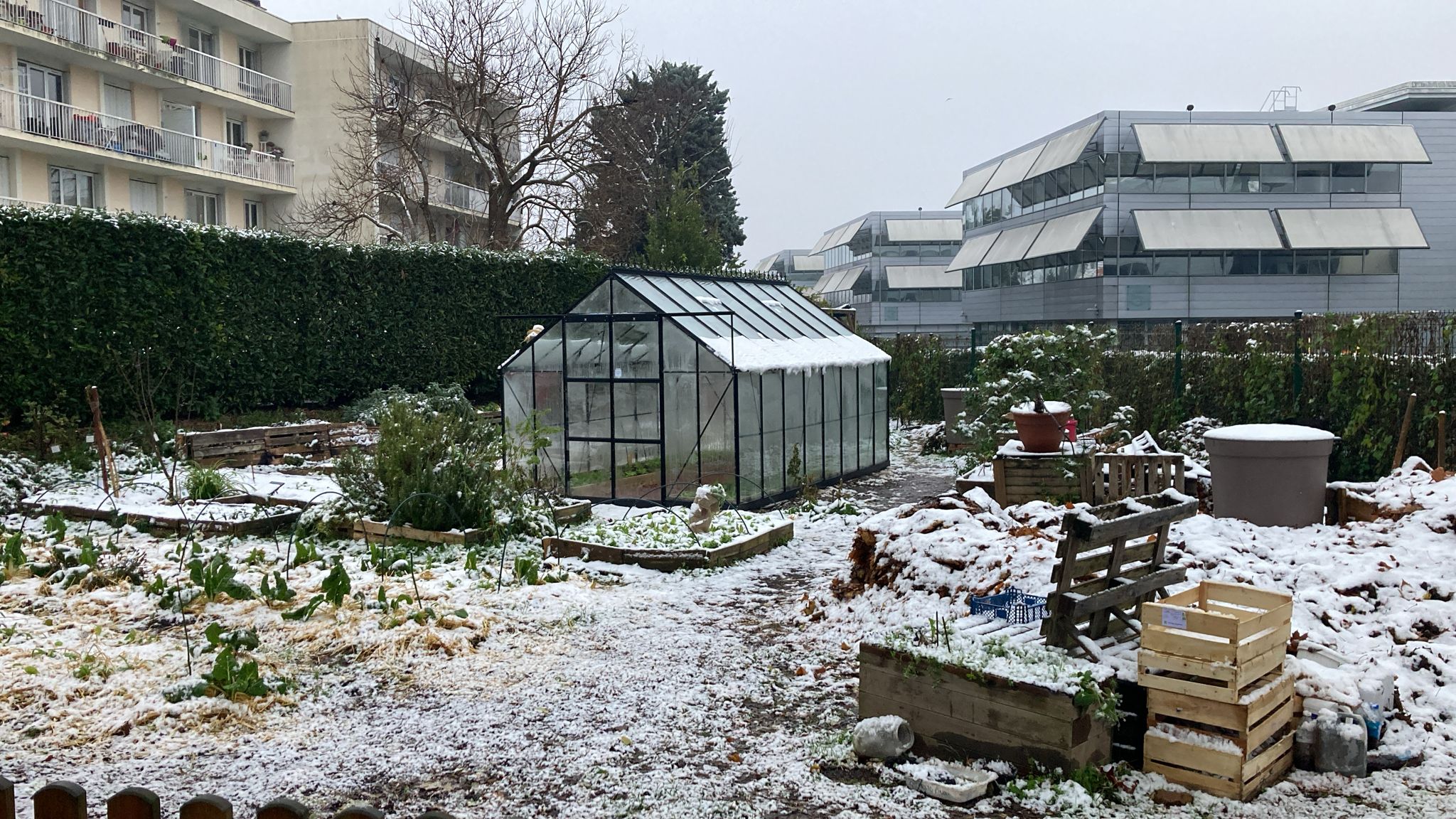 Lire la suite à propos de l’article L’almanach du potager – Décembre : L’art de préparer son jardin pour l’hiver